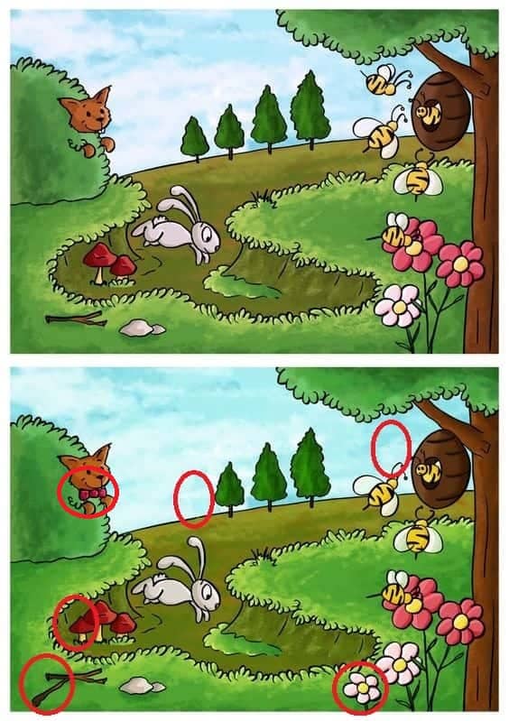  14 6 